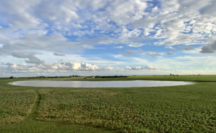 PLAYA FIELD DAY has been a popular learning experience for farmers and naturalists throughout the South Plains. The 2024 event is coming up May 16 in Floyd County. | COURTESY PHOTO