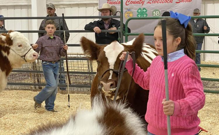 SPOTLIGHT ON BRISCOE COUNTY STOCK SHOW