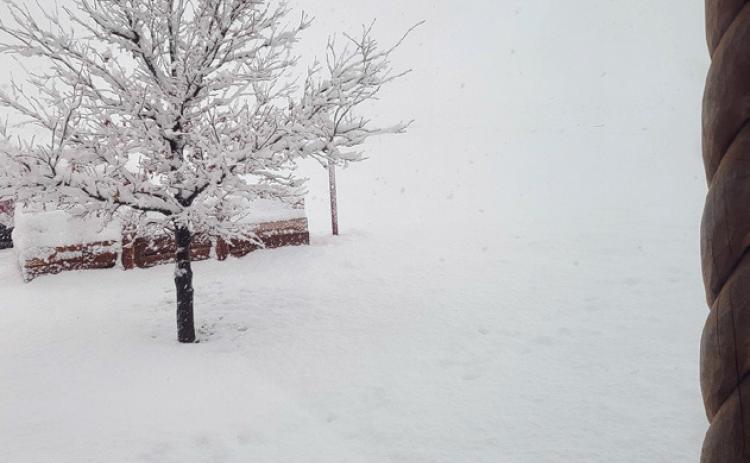 SNOWY SPRING BREAK