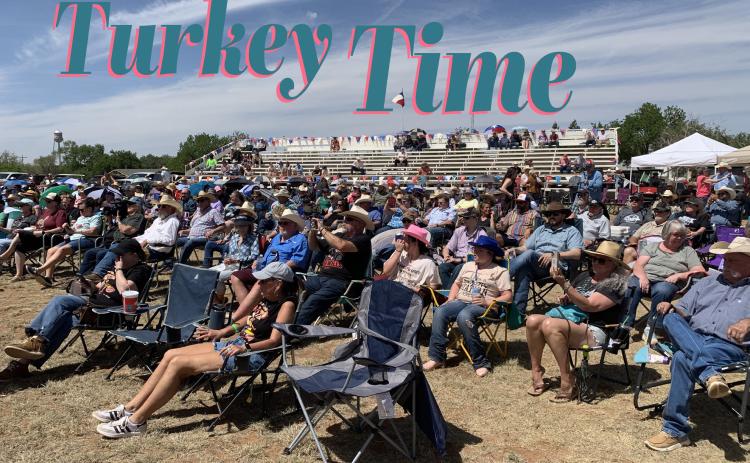 Turkey Time