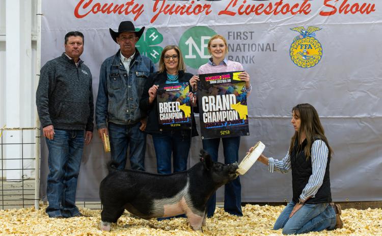 MARKET SWINE GRAND CHAMPION ALLIE PIGG